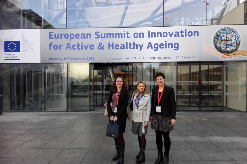 European Summit on Innovation for Active and Healthy Ageing, Grupo SSI