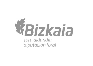 Bizkaia Foral