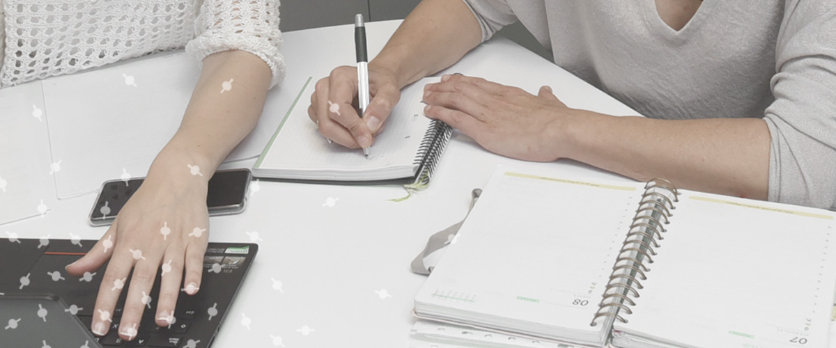 Emprendimiento y Empleo, Grupo SSI