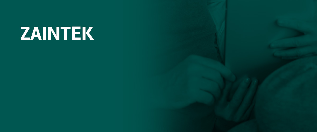 Proyecto Zaintek - Grupo SSI