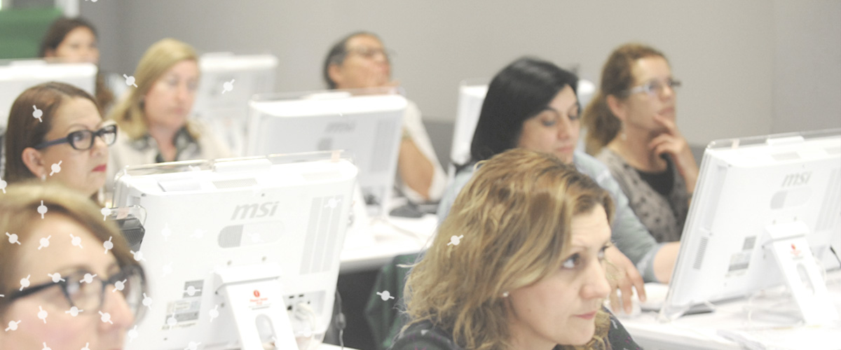 Formación, Grupo SSI