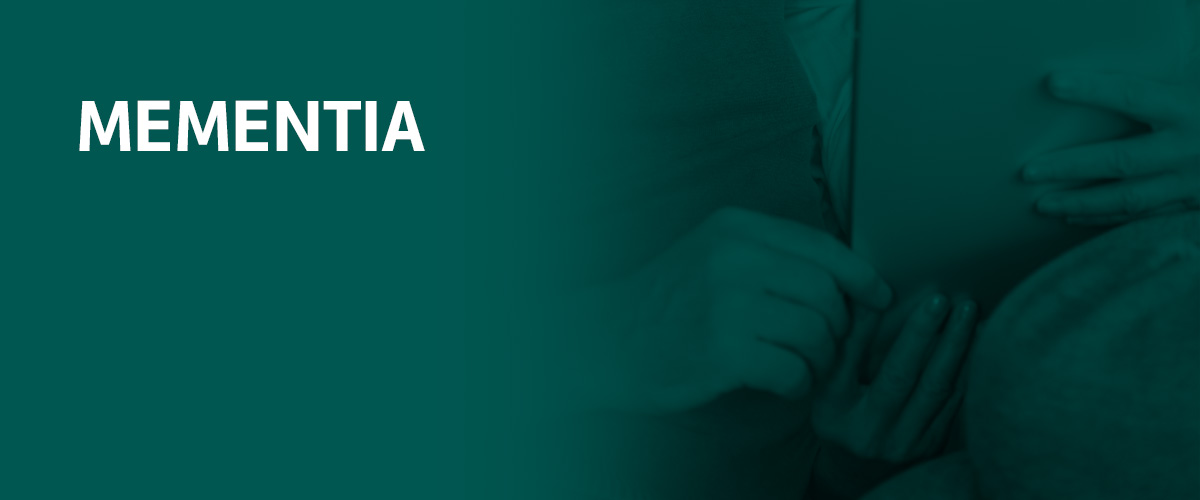 Proyecto mementia - Grupo SSI