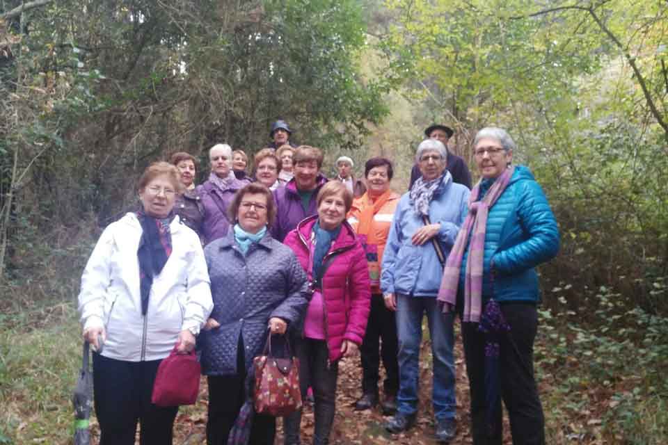 Actividades en Nagusi Aretoa de Amorebieta, Grupo SSI