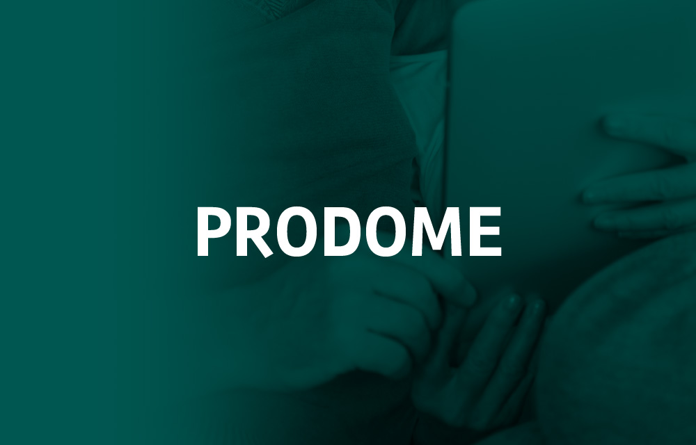 prodome-proyecto-grupossi