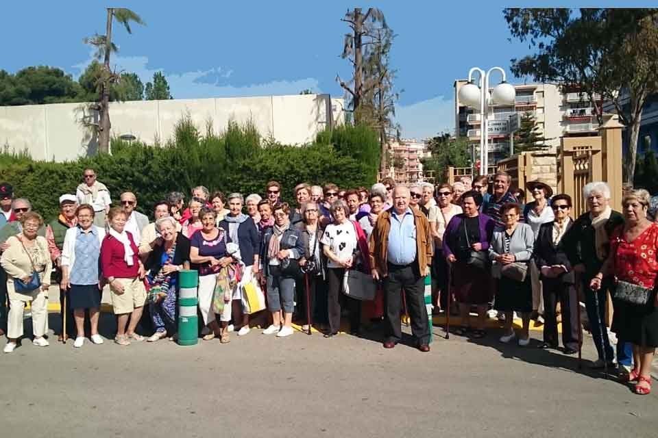 Programa viajes gerosaludables, Grupo SSI