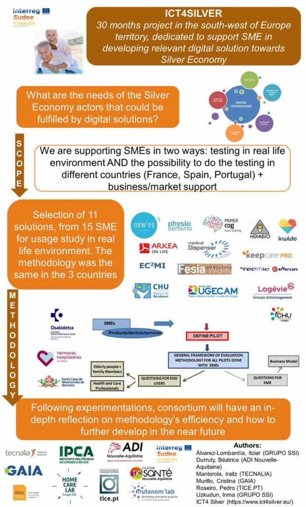 ict4silver-summary-data-grupossi