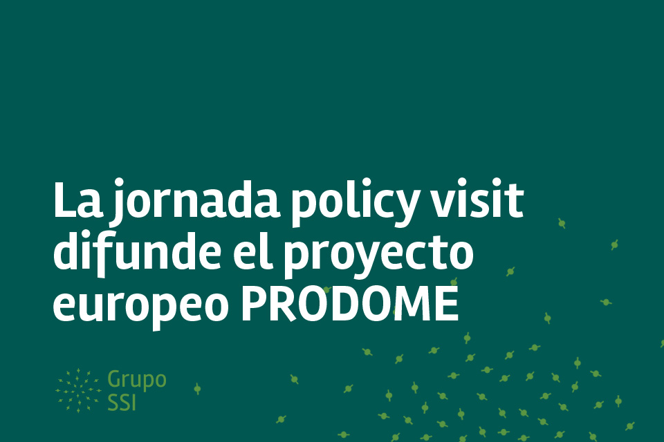 Grupo SSI organiza en Bilbao la última policy visit del proyecto europeo PRODOME
