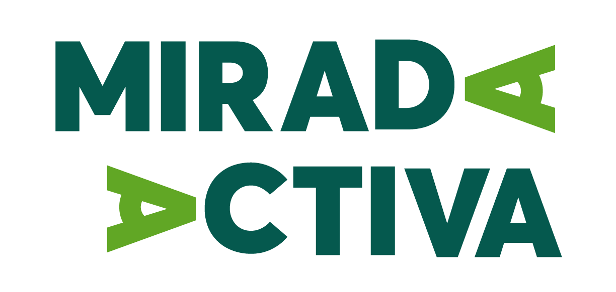Soledad y Mirada Activa, Grupo SSI
