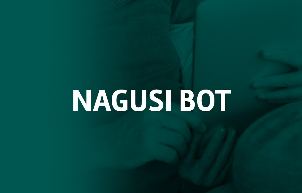 proyecto-nagusi-bot