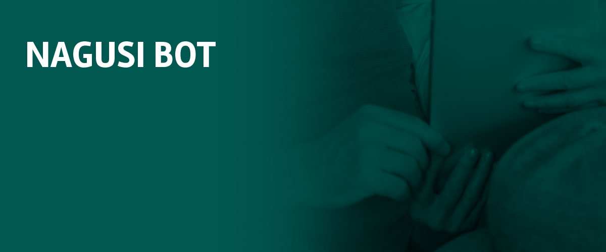 Proyecto nagusi bot - Grupo SSI