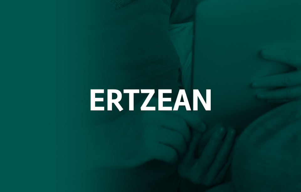Proyecto ertzean