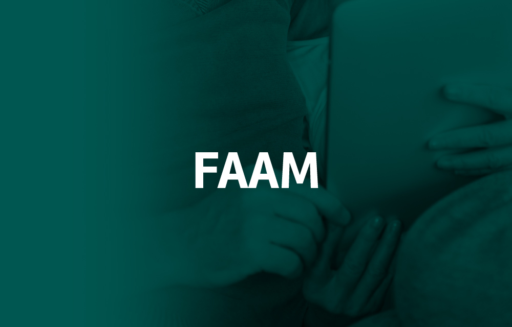 Faam proyecto