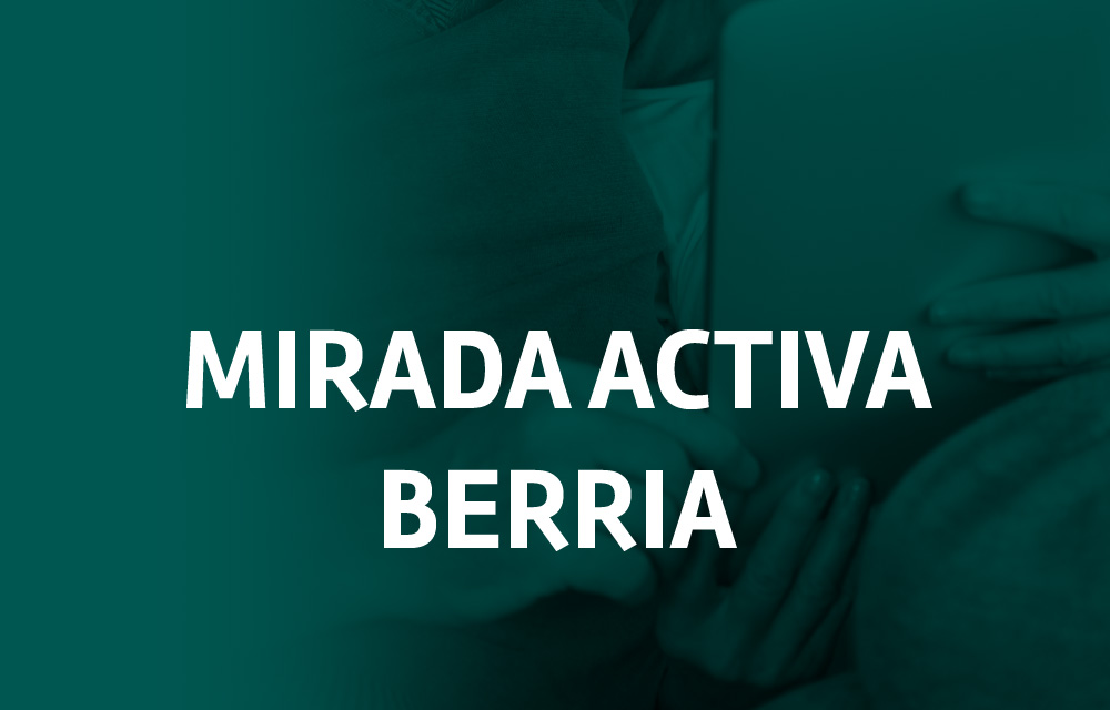 Mirada activa berria proyecto