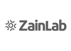 Logo Zainlab gris