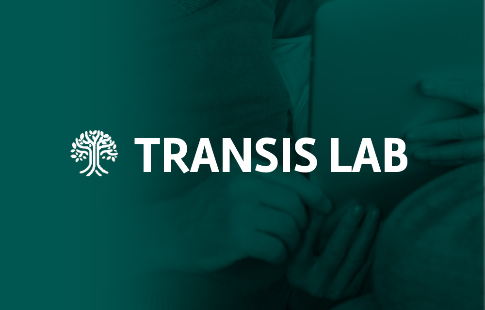 Transis Lab