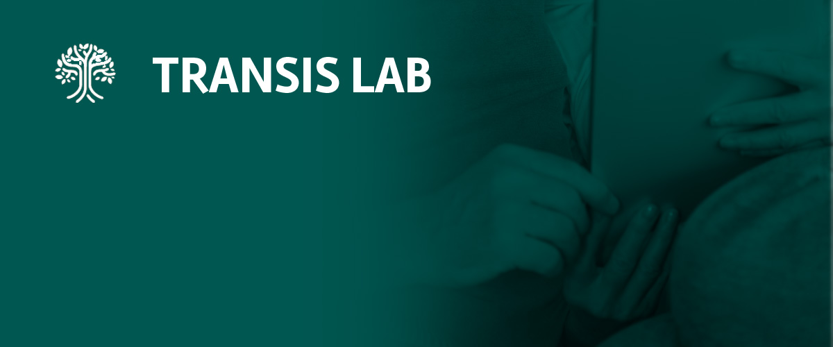 Transis Lab