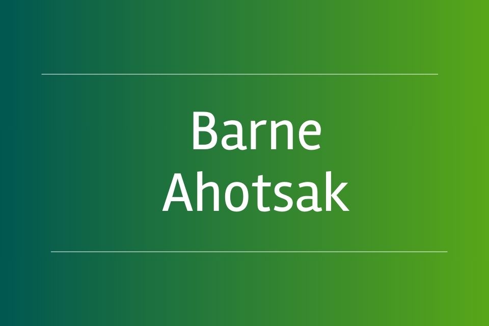 Barne Ahotsak
