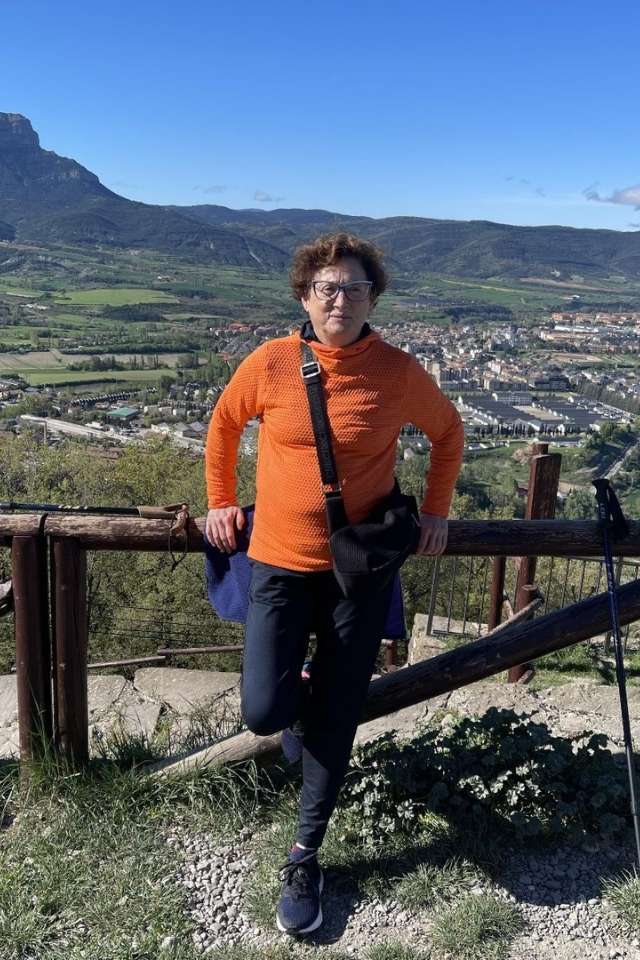 Lanbide MENTSAD
