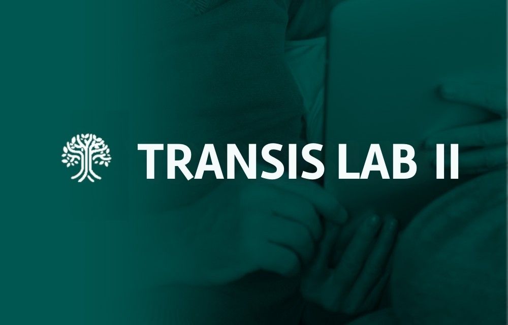 Transis Lab II destacado