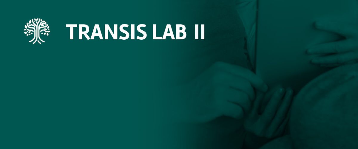 Transis Lab II proyecto